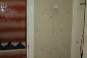 Квартира ул. Бассеная, 7. Стандарт 5-местный  10